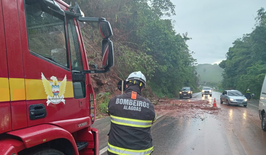 Árvore cai em rodovia no interior de AL após deslizamento de terra em encosta