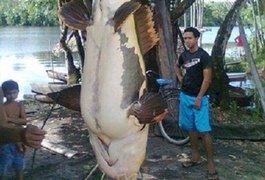 Pescadores capturam peixe raro de 1,5m e 80 quilos