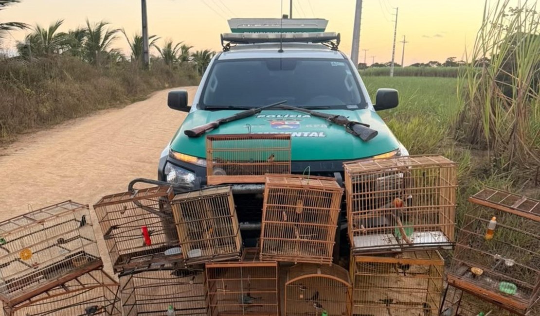PM-AL apreende duas armas de fogo e resgata 59 animais silvestres em ações de fiscalização
