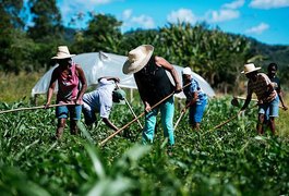 Governo de Alagoas anuncia concurso público com cerca de 60 vagas; confira