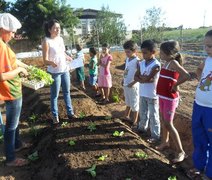 Arapiraca lança projeto pioneiro de educação no campo
