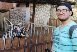 Zoológico egípcio é acusado de pintar burro para parecer zebra