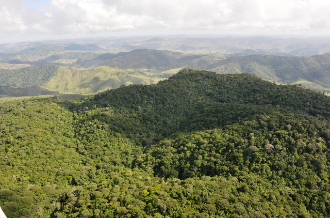 Alagoas tem o menor índice de desmatamento do Nordeste