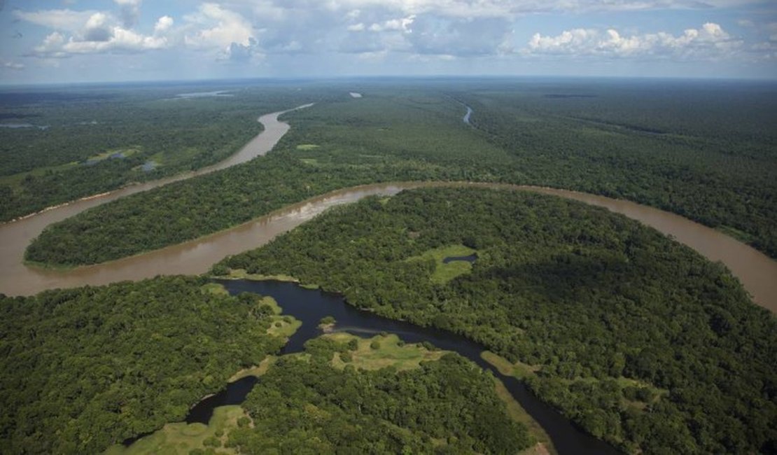 Justiça Federal no DF suspende qualquer decreto que busque extinguir reserva na Amazônia