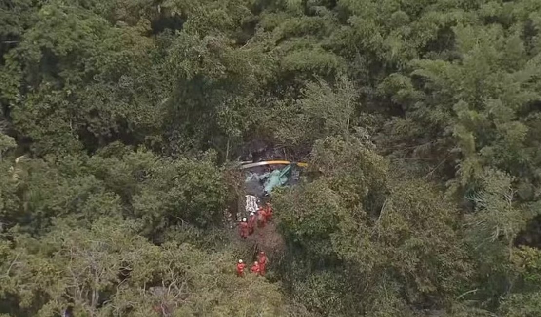 Três pessoas morrem em queda de aeronave em área de mata fechada