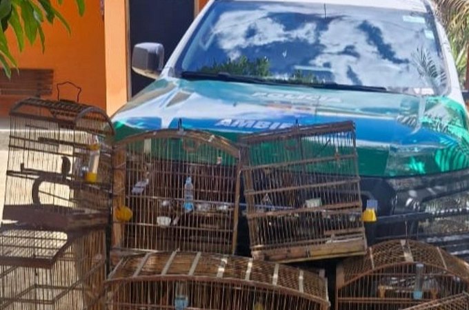 Homens são presos com espingardas e 25 aves silvestres durante operação, em Alagoas