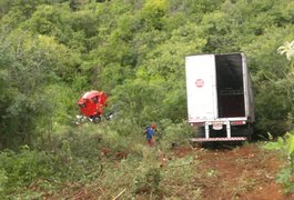 Condutor de carreta perde o controle e cai em barranco na Serra das Pias