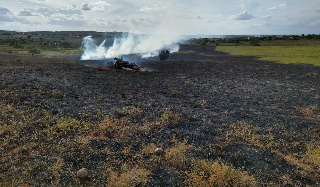 Incêndio de grandes proporções se espalha por vegetação e assusta moradores da zona rural de Arapiraca