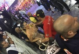 Destaque da Peruche é expulsa da avenida por despir parte da fantasia