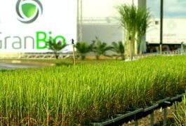 Empresa de biotecnologia industrial abre vagas de emprego em Alagoas