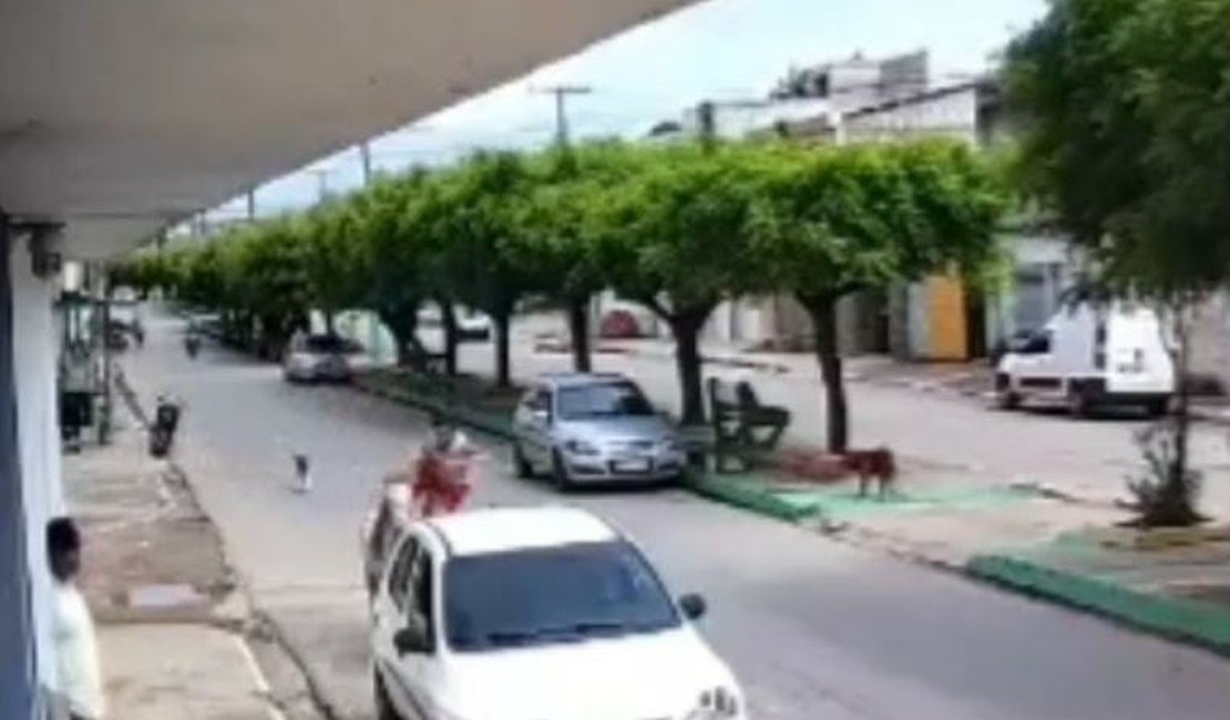 VÍDEO: Cavalo sai em disparada e menino montado no animal colide em carro, em Porto Real do Colégio
