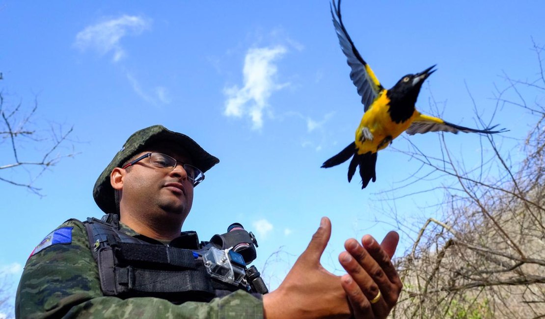 Cerca de 1400 animais silvestres são resgatados no Sertão