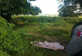 Homem é assassinado a tiros e corpo é encontrado em matagal, em Arapiraca