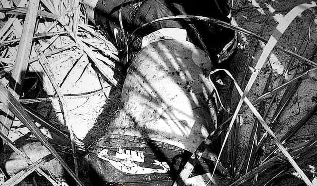 Populares encontram corpo em estado de decomposição em canavial no Agreste alagoano