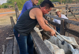 Leonardo é 'detonado' na web após publicar foto queimando animal