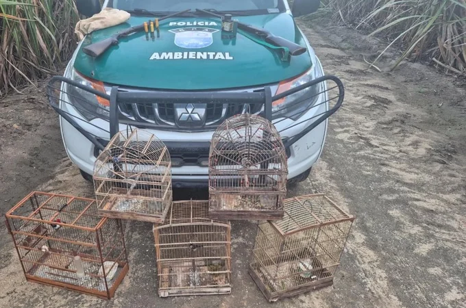 PM resgata mais de 250 animais silvestres e apreende oito armas de fogo durante operação em Alagoas
