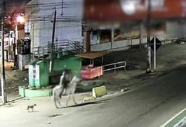 Homem é preso em Pernambuco após ser filmado com mulher morta em cavalo