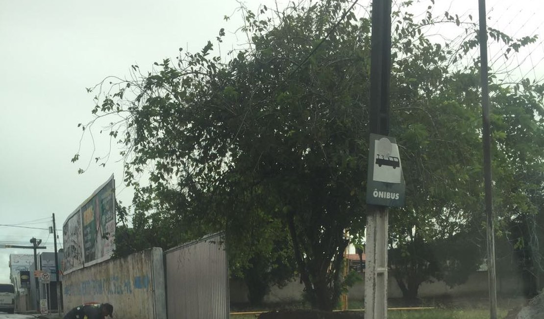 Muro do Colégio Bom Conselho desaba em Arapiraca