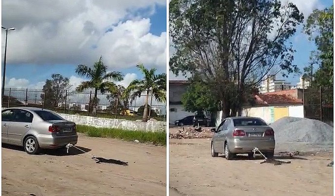 VÍDEO: Motorista amarra pata de cachorro no carro e arrasta animal pela rua em Maceió