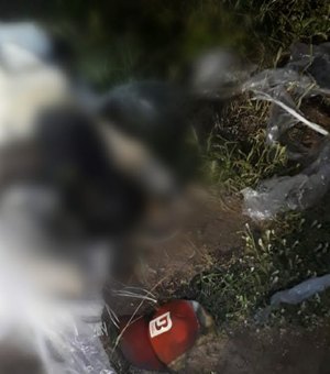 Cadáver em estado avançado de decomposição é encontrado em estrada vicinal de São Sebastião
