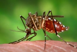 Suposta epidemia de chikungunya deixa Mata Grande em alerta