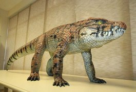 Fóssil de crocodilo de 80 milhões de anos encontrado no Triângulo Mineiro é apresentado