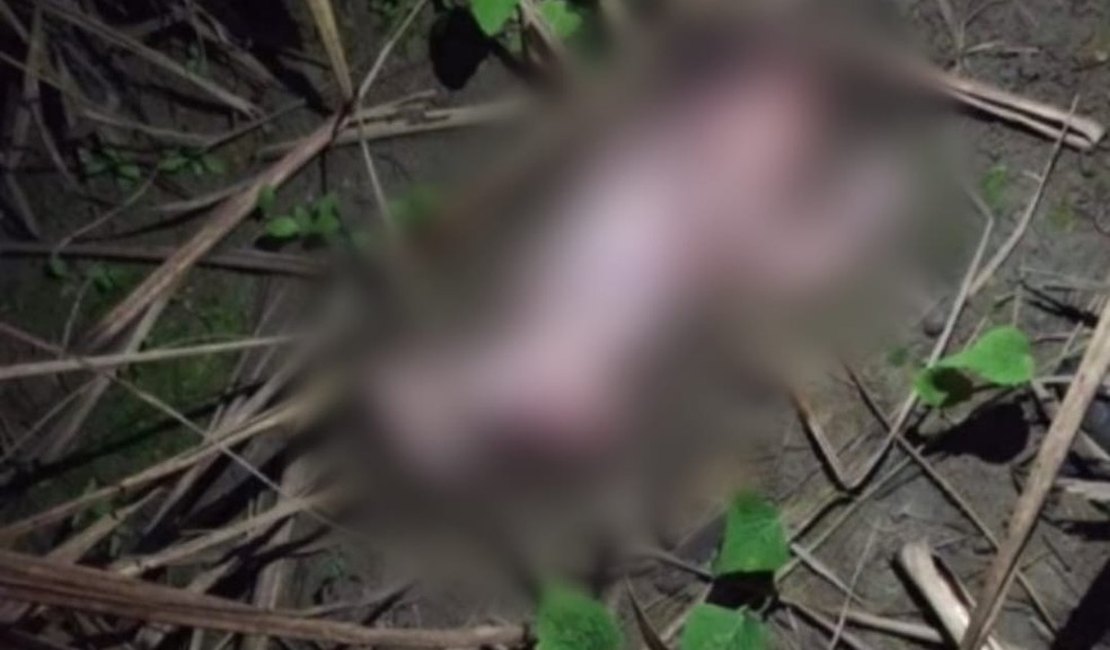 MP-AL denuncia adolescente que jogou corpo da filha recém-nascida em terreno em Jundiá