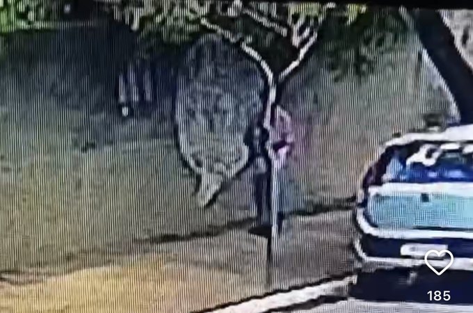 Moradores denunciam homem suspeito de danificar carros no Alto do Cruzeiro, em Arapiraca