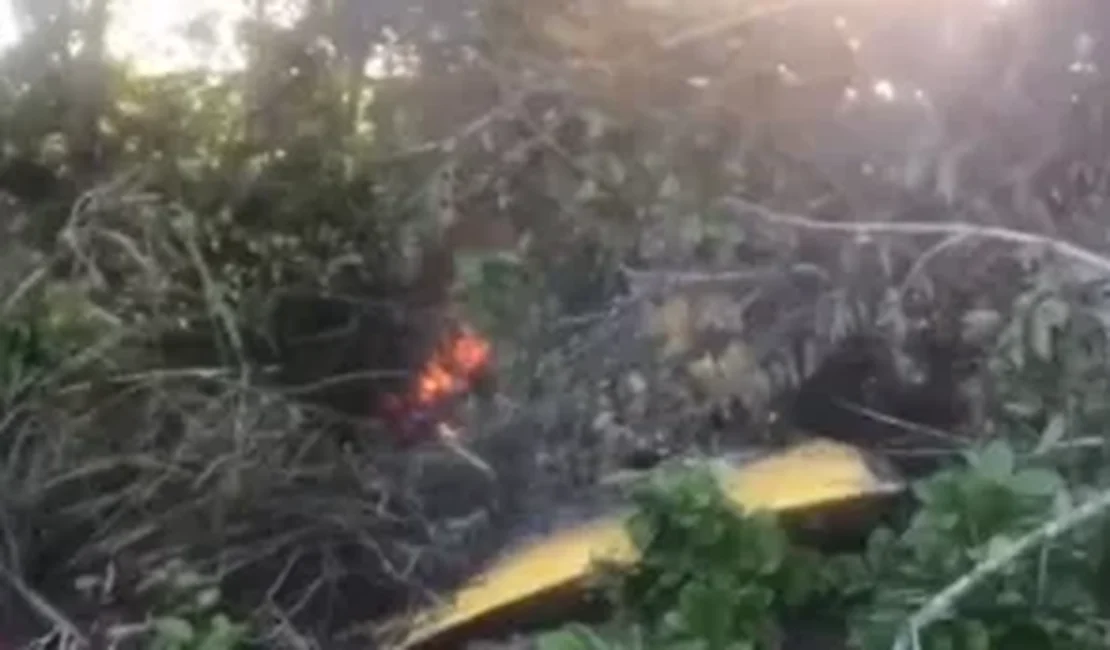 Polícia Civil investiga causa de queda de avião em Campo Alegre; piloto segue em estado grave no HEA