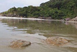 Corpo de um homem é encontrado em praia no município de Maragogi