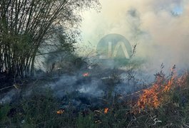 Incêndio atinge vegetação, ao lado do Lago da Perucaba, e mobiliza Bombeiros em Arapiraca