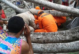 Árvore cai em cima de foliões e deixa oito feridos em Marechal Deodoro