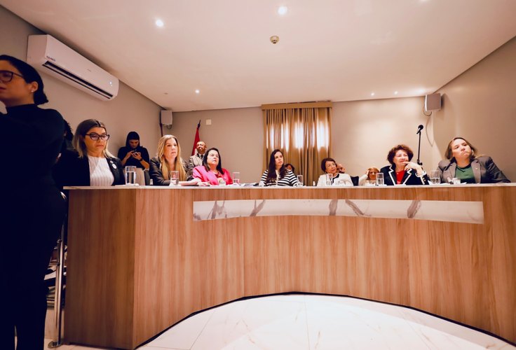 Assembleia Legislativa discute ações para fortalecer a participação feminina na política