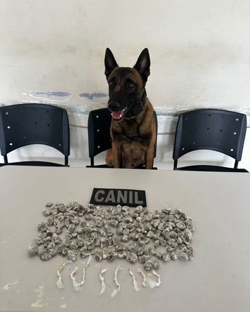 News title