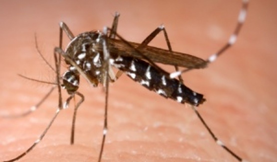 Transmissão de zika através do beijo não está comprovada, diz infectologista