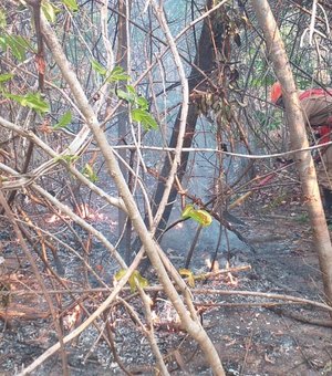 Polícia Civil de Goiás indicia quatro pessoas por incêndios na Chapada