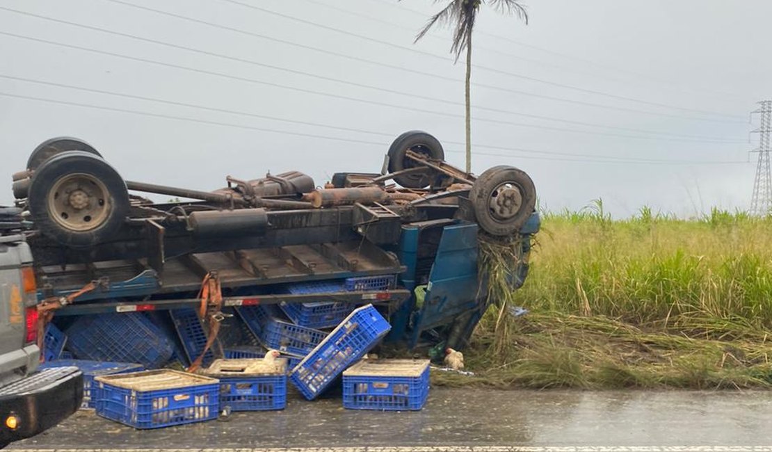 Caminhão transportando galinhas vivas capota na AL 110, em Arapiraca; assista