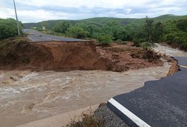 Chuva no Sertão: Governo de Alagoas mobiliza forças de emergência após colapso na AL-225