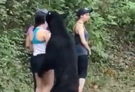 Vídeo. Urso tenta morder e agarrar perna de mulher que passeava em parque no México