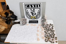 Durante treinamento, cadela do Canil encontra grande quantidade de drogas escondidas em mata de Arapiraca