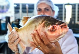 Agricultura promove Feira do Peixe Vivo nesta quarta e quinta-feira