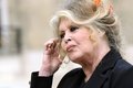 Morre na França Brigitte Bardot, ícone do cinema mundial, aos 91 anos