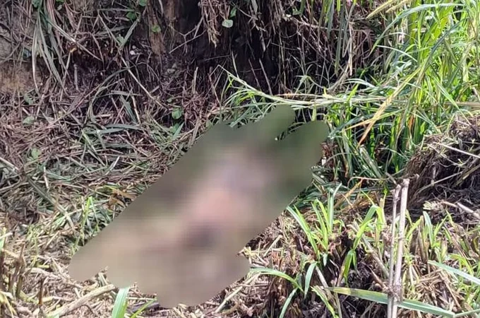 Homem encontrado morto com cerca de 40 facadas em Rio Largo é identificado pela Polícia Civil