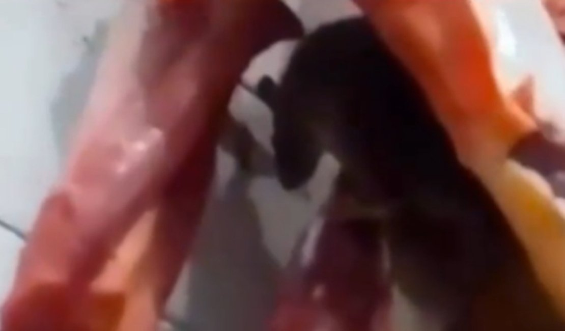 VÍDEO: Rato é visto em cima de carnes à venda no Mercado Municipal de Itabaiana