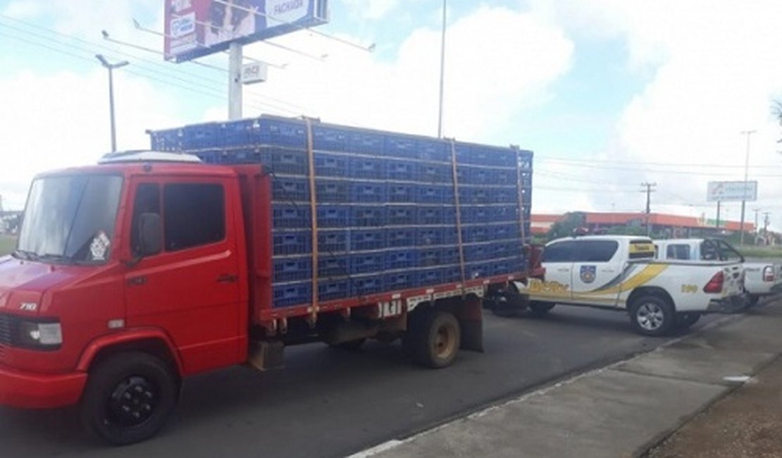 Operação apreende carga com 800 frangos sem nota fiscal em Limoeiro de Anadia