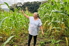 Safra boa: Agricultora comemora colheita de milho verde com sementes doadas pelo Planta Alagoas