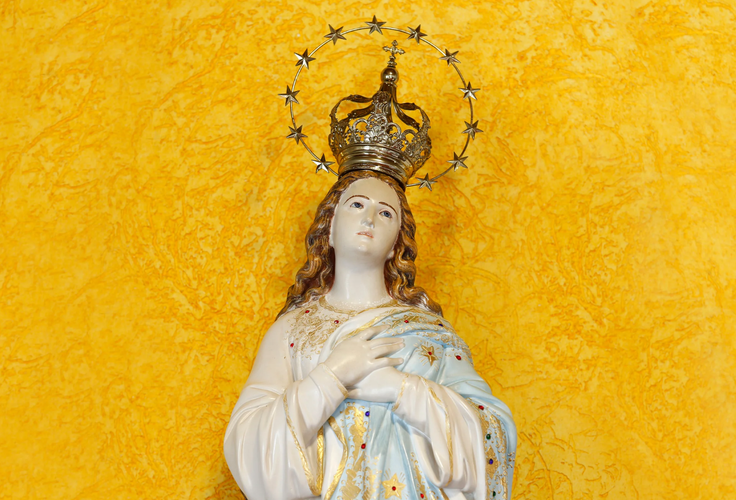 Nossa Senhora da Imaculada Conceição, Luz e Pureza Divina