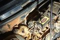 Cachorro caramelo é resgatado após ficar preso em motor de carro