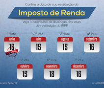 Receita libera nos próximos dias consulta ao terceiro lote do Imposto de Renda