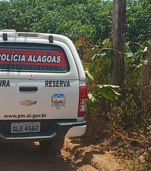 Vídeo. Populares encontram corpo em decomposição dentro de plantação, em Arapiraca